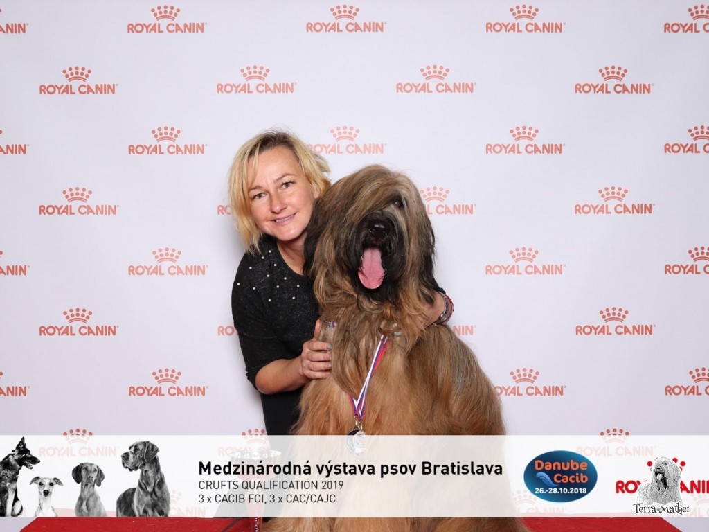 Nemzetközi kutyakiállítás DANUBE CACIB 3x POZSONY 2018.10.26-28